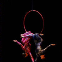 Vzdušná akrobacia - akrobacia na kruhoch - Aerial hoop