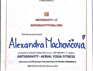 Antigravity Aerial Yoga Fitness (1. a 2. stupeň)