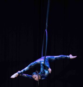 Czech Pole and Aerial Art Championship 2025
