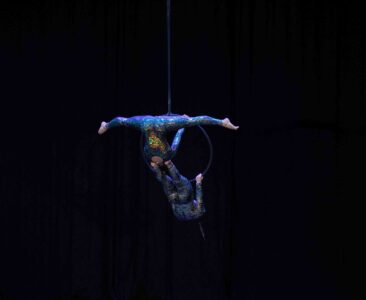 Czech Pole and Aerial Art Championship 2025